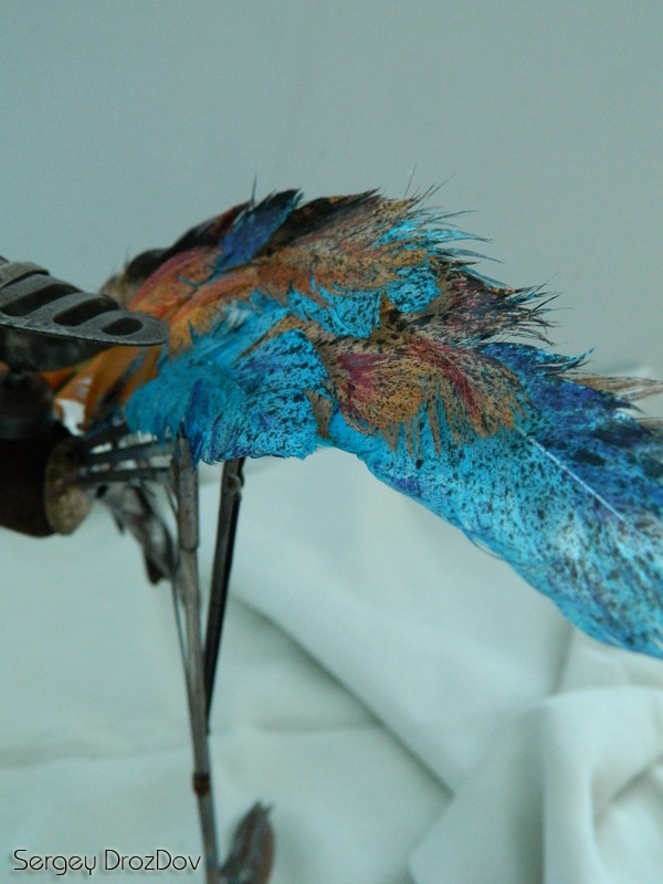 Multi-Colored Exotic Bird (Фото 3)