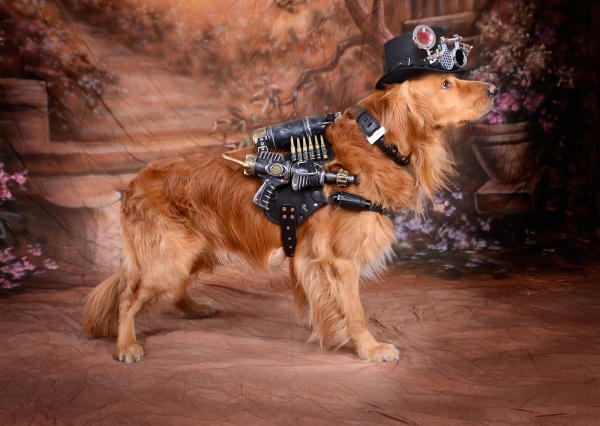 Steampunker Dog