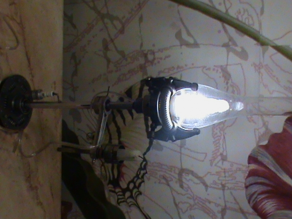 лампа (Фото 3)