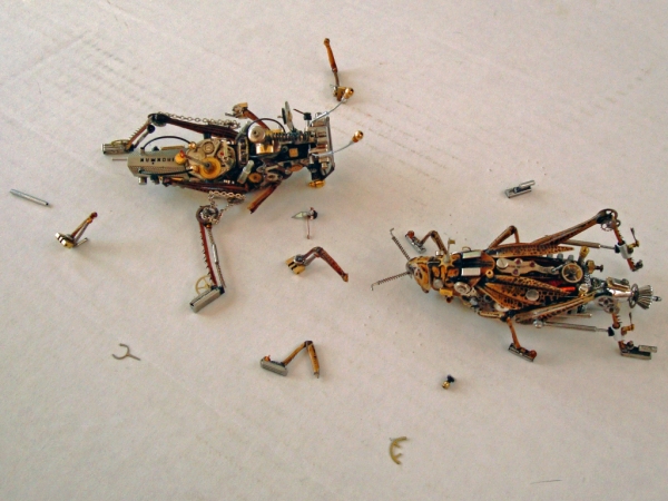 Мои насекомые Steampunk bugs. Они подрались. (Фото 3)