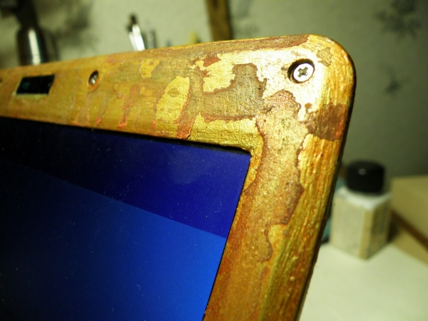 Старый ноутбук и хомяк (Фото 5)