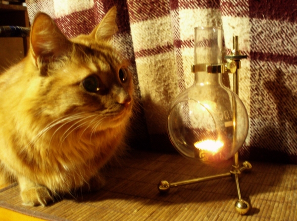 Лампа-подсвечник (Фото 9)