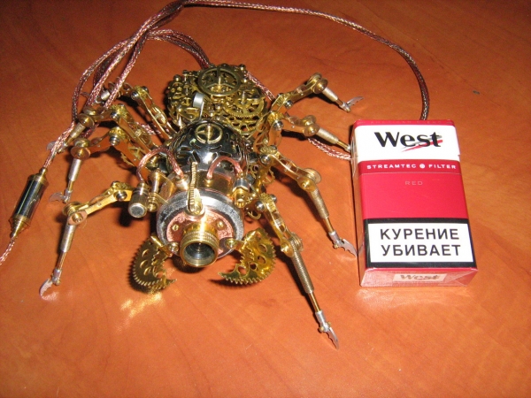 Steamorg Arachnid (веб камера) (Фото 33)