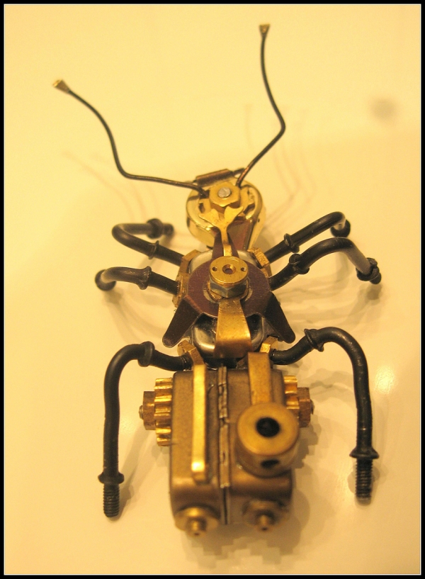 Cyber Ant (Фото 17)