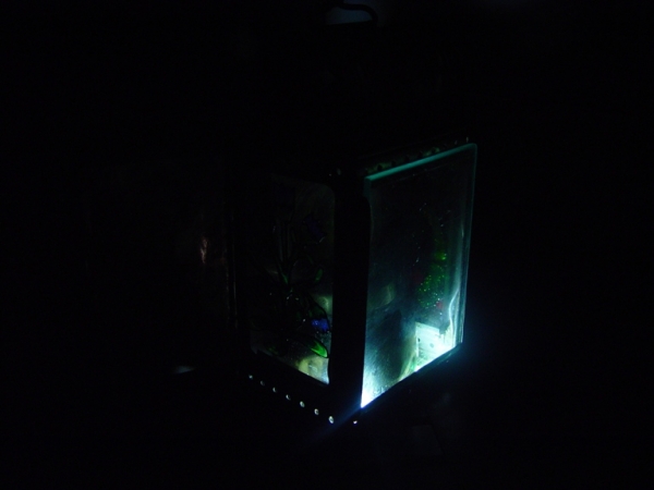 Ночной фонарик для детей и для рыбалки (вторая жизнь старой вещи) (Фото 25)