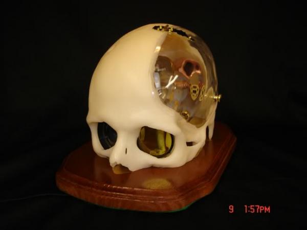 steampunk skull