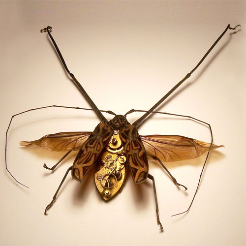 Стимпанк насекомые от Insect Lab