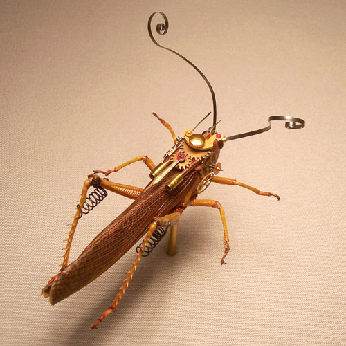 Стимпанк насекомые от Insect Lab (Фото 5)